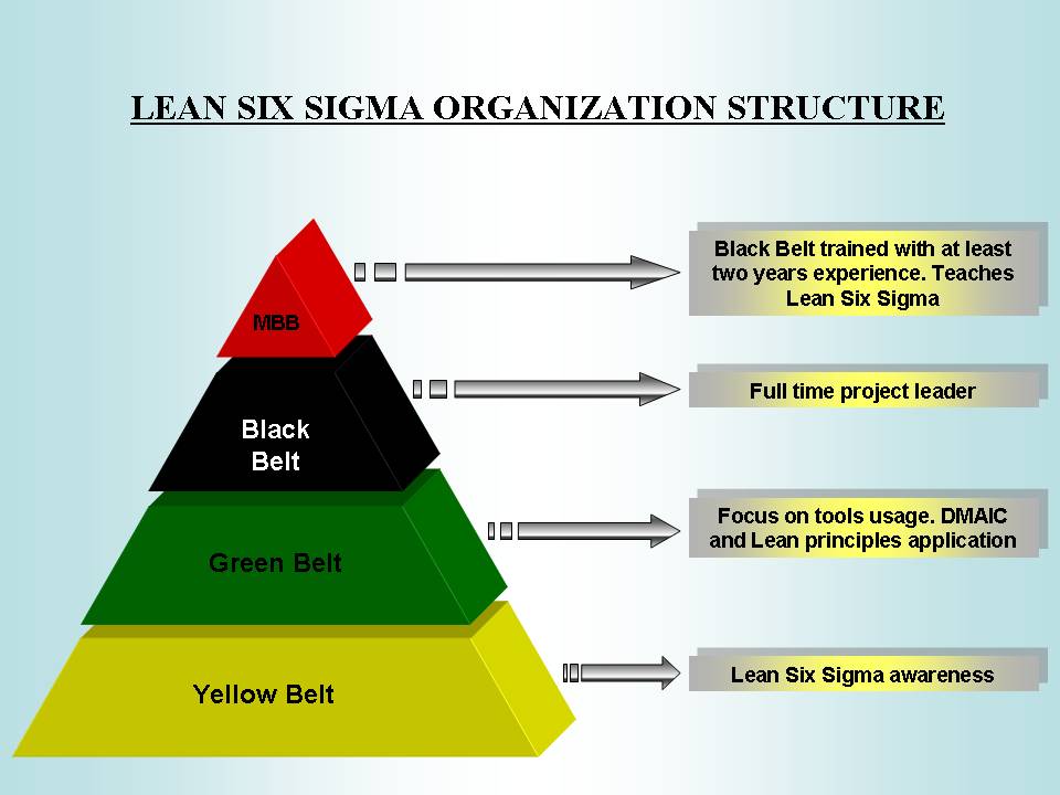 sigma lean six training quality structure organization belt roles manufacturing green program belts improvement order management project organizations pyramid continuous