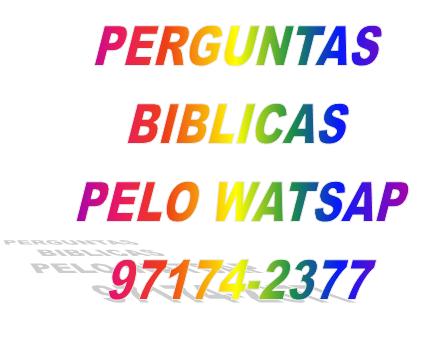 PERGUNTAS PELO WATSAP 97174-2377