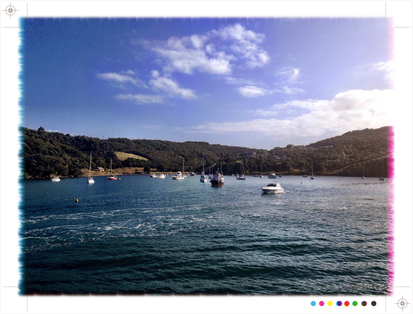 Toast Wanderings Waiheke Island