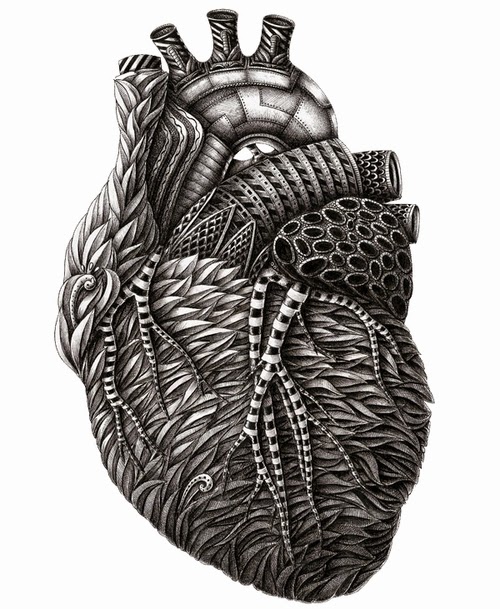 02-The-Heart-Alex-Konahin-Stylised-Anatomy-Intricate-and-Unique-Drawings-www-designstack-co