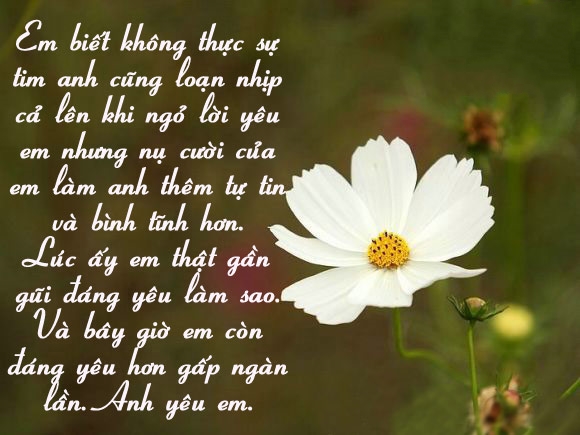 Status tình yêu cực dễ thương, ngọt ngào cặp đôi đang yêu