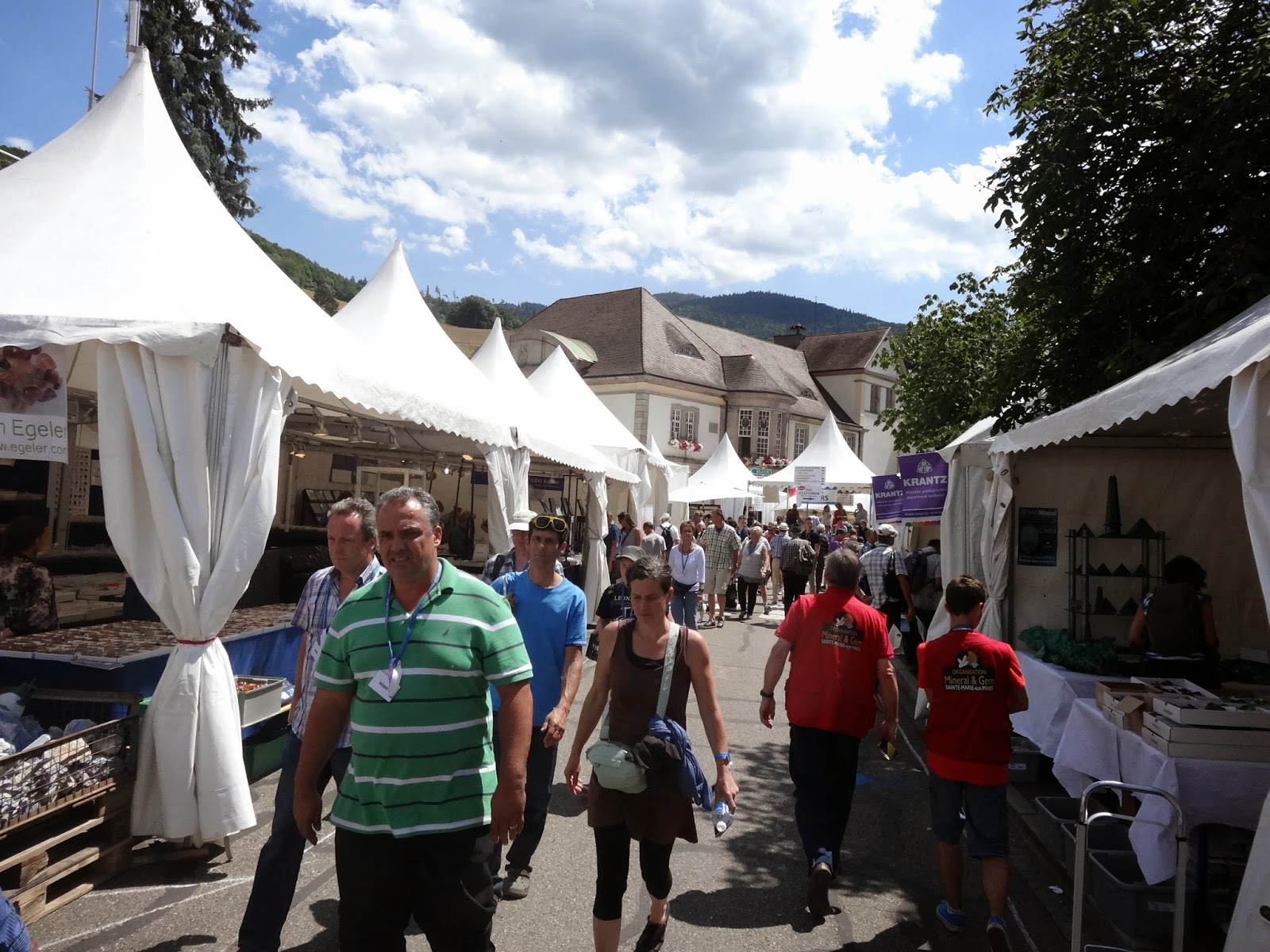 Natural History Museum of L.A. Minblog SainteMarieauxMines Gem & Mineral Show 2014