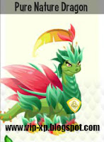 Pure Nature Dragon Pure Nature Dragon