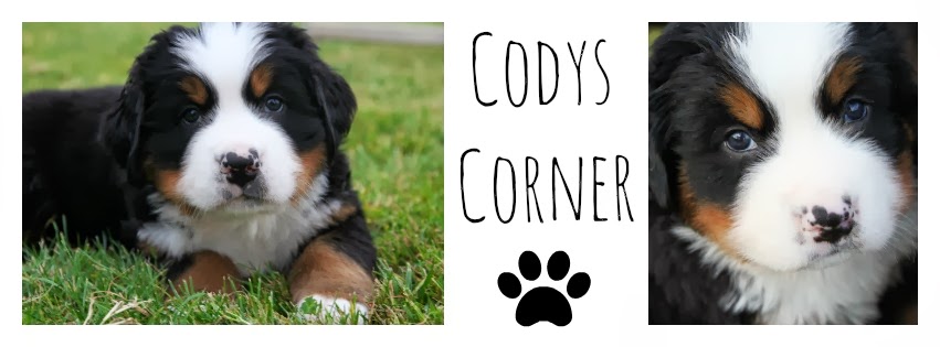 Cody's Corner