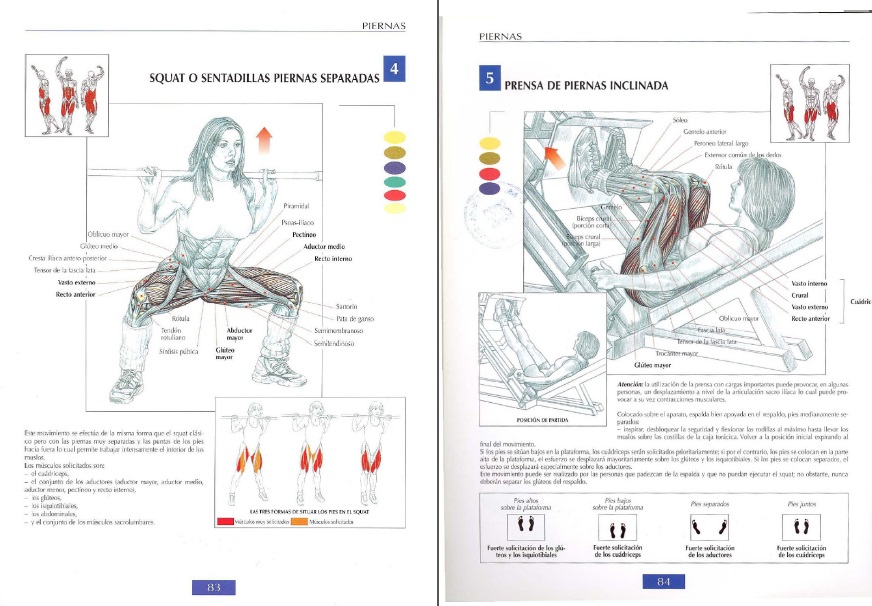 Lo Que Encuentre: Guía de los Movimientos de Musculación Lo Que Encuentre: Guía de los Movimientos de Musculación