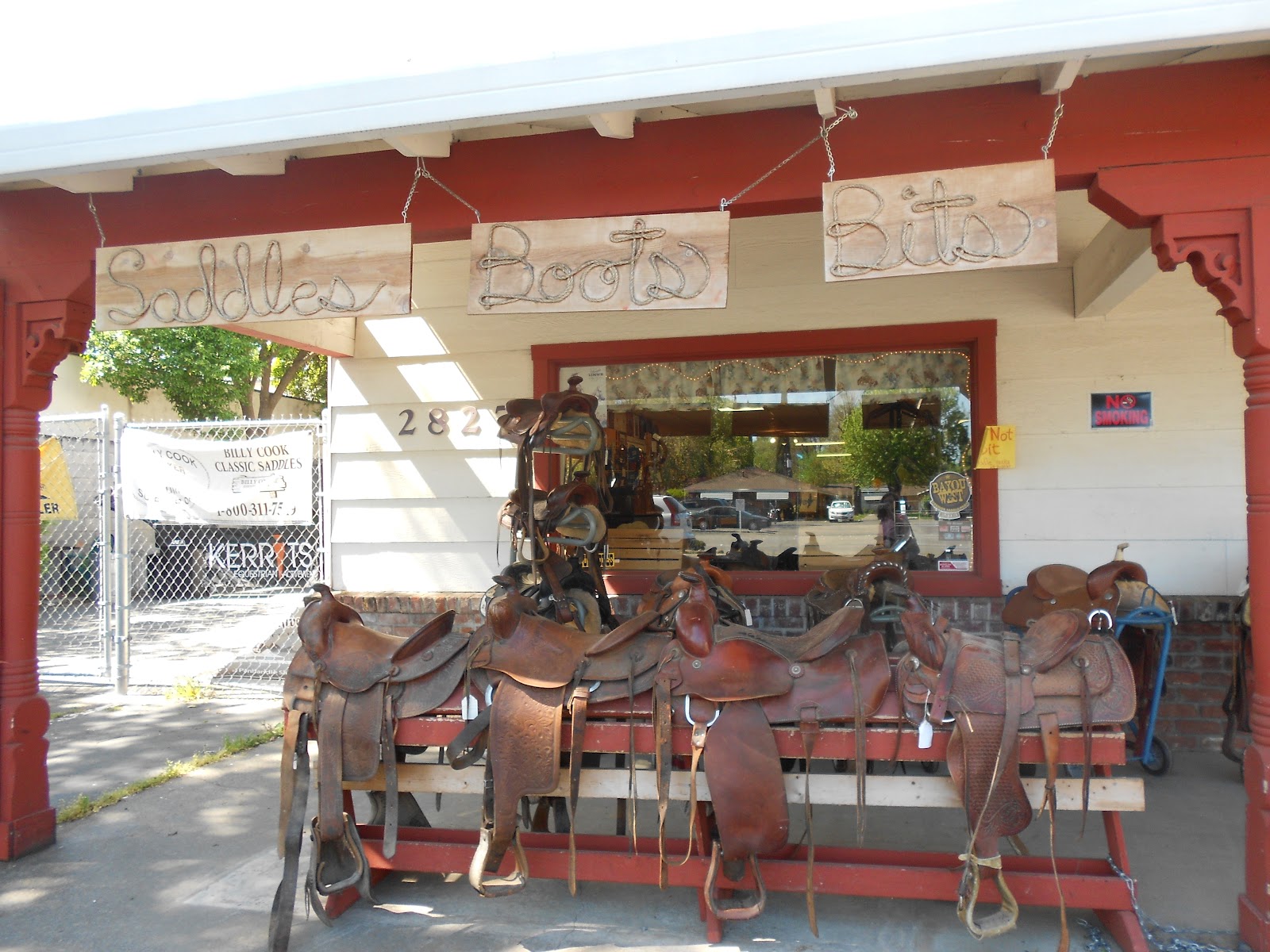 Life by Chocolate Robyn Alana Engel's Blog Sundays in My City Horse