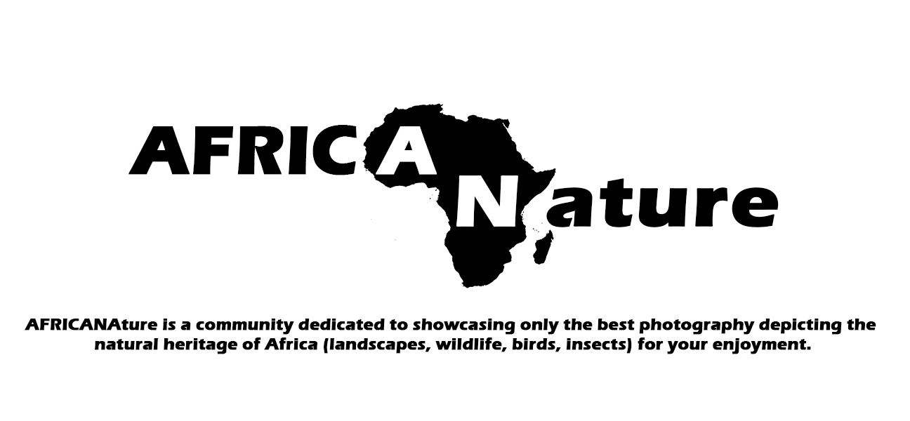 AFRICANature