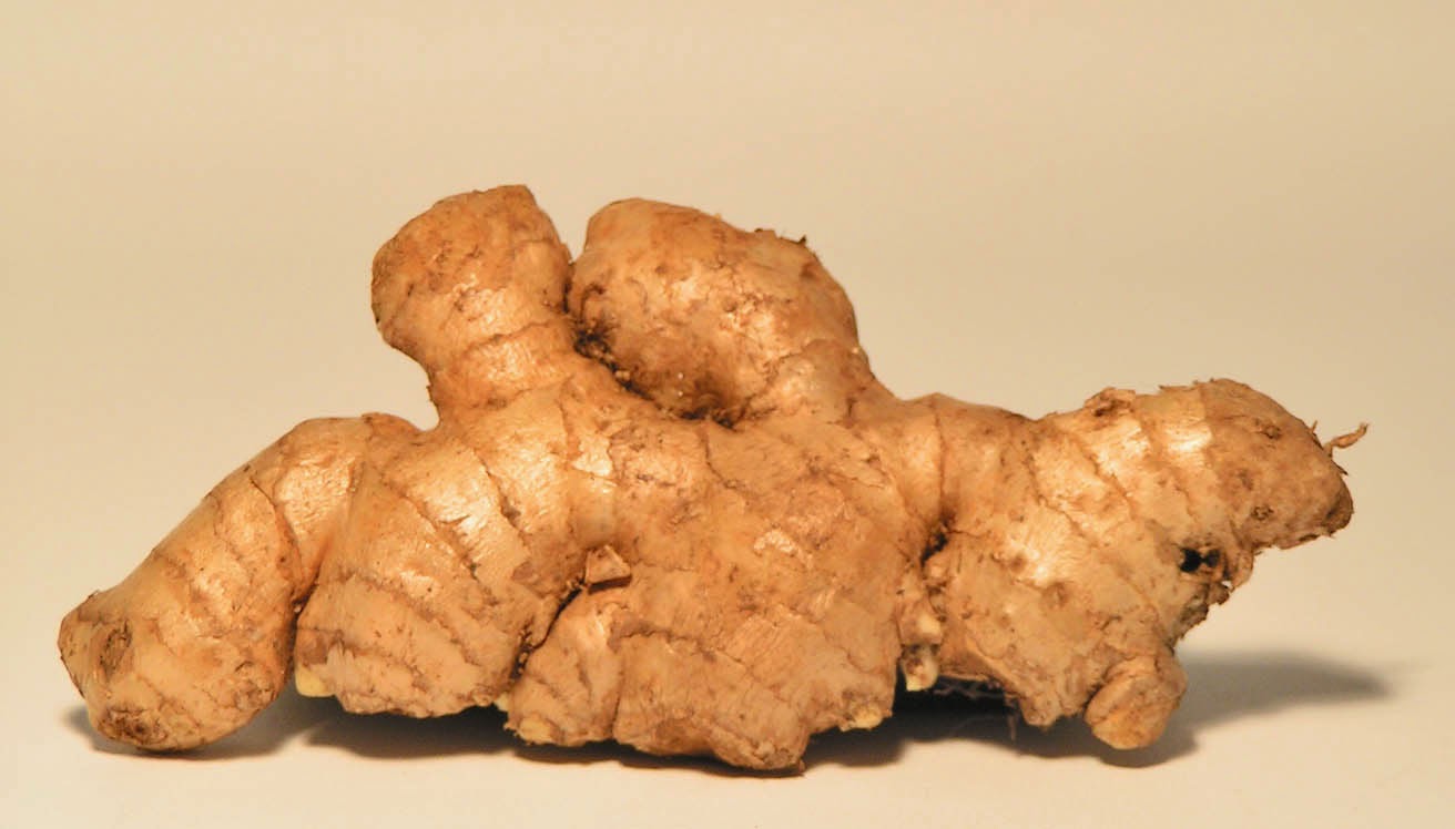 Healthy weight loss - ginger Healthy meals