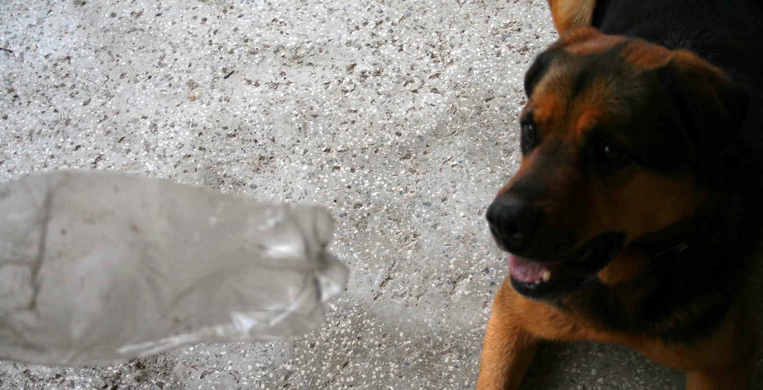 Focused on the bottle Focused on the bottle