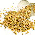 Coriander Lowers Cholesterol