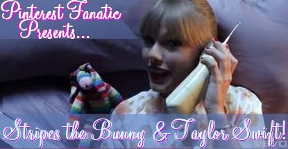 Stripes the Long Earred Bunny with Taylor Swift Taylor Swift, Music Video, Stripes Long Earred Bunny