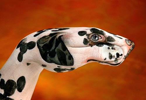 08-Dog-Dalmatian-Guido-Daniele-Painting-Animals-on-Hands-www-designstack-co