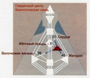 Дизайн человека. генные ключи Дизайн человека. генные ключи