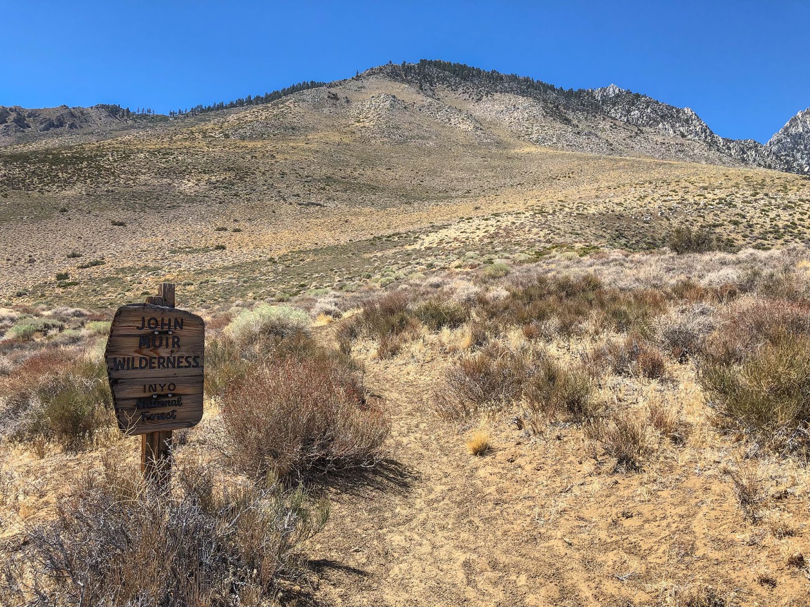 Sawmill Pass First Church of The Masochist