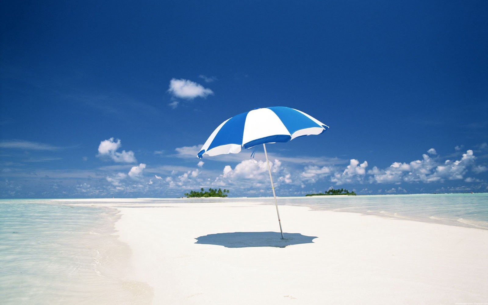 http://4.bp.blogspot.com/-8_jZf7zhYbA/UCIU89LfD1I/AAAAAAAAFD0/1UqbGZM_t7g/s1600/beach-wallpapers-wal-pappers-blogspot-com+(10).jpg