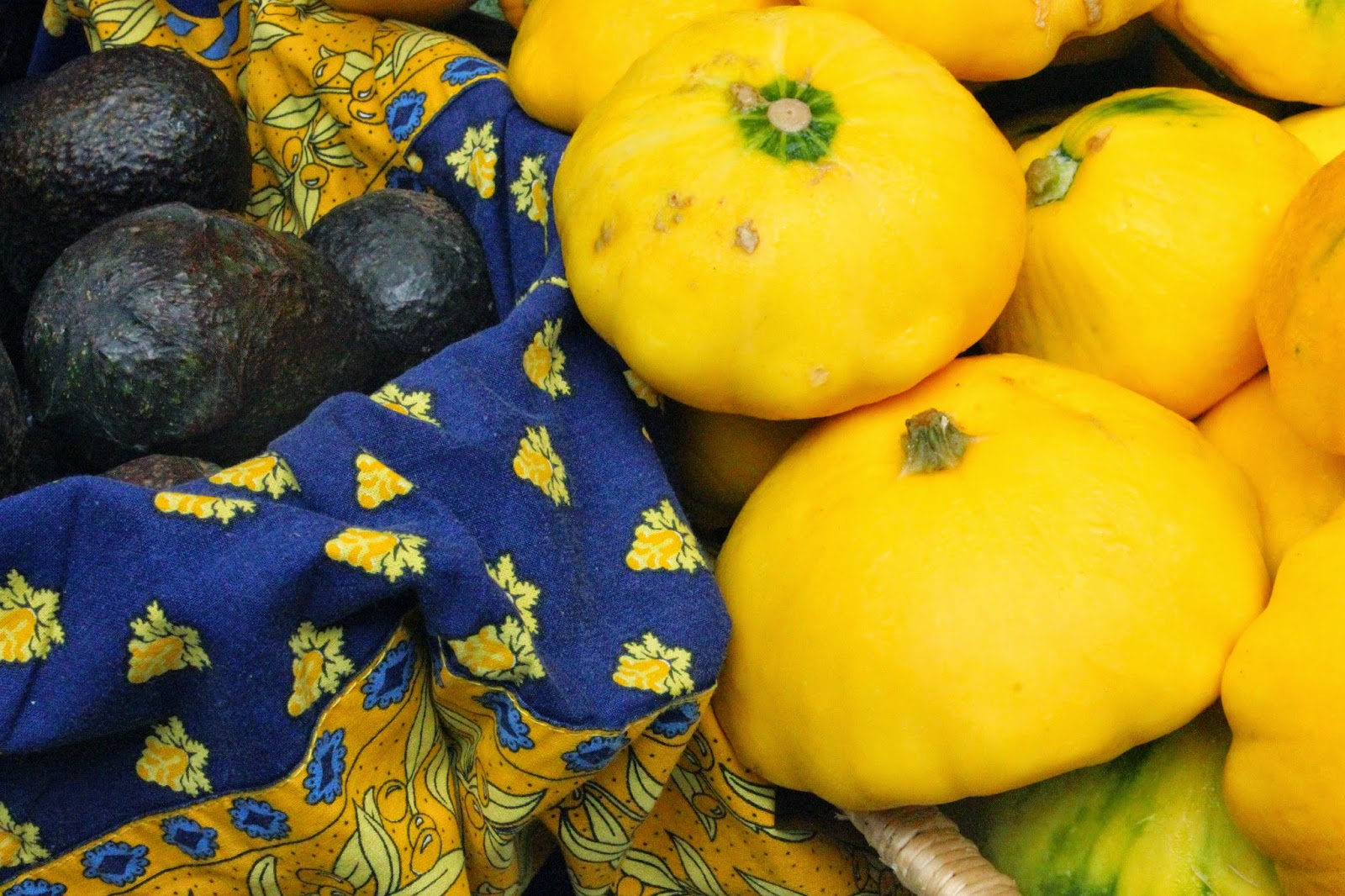 Italian Girl in A Rainbow of Scrumptiousness