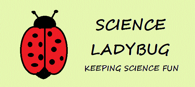 Science Ladybug