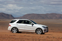 Mercedes-Benz M-Class ML 250 BLUETEC W 166 Namibia