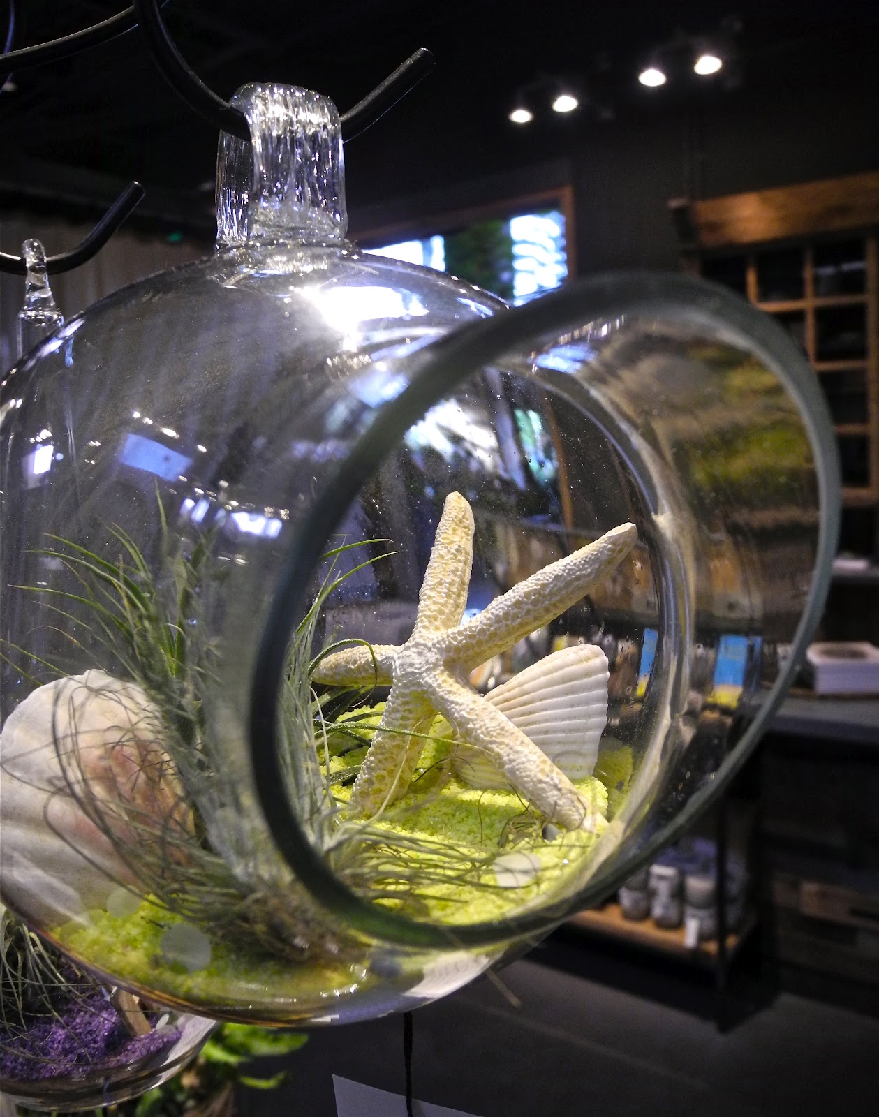 SeaglassSundays Terrain Westport