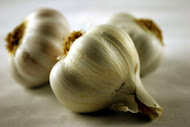 Garlic an Important Ingredient