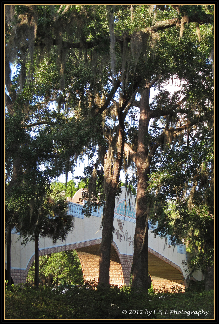 The Villages (Florida) Photos Golf cart bridge