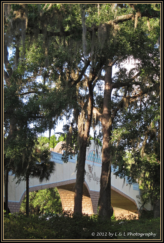 The Villages (Florida) Photos Golf cart bridge