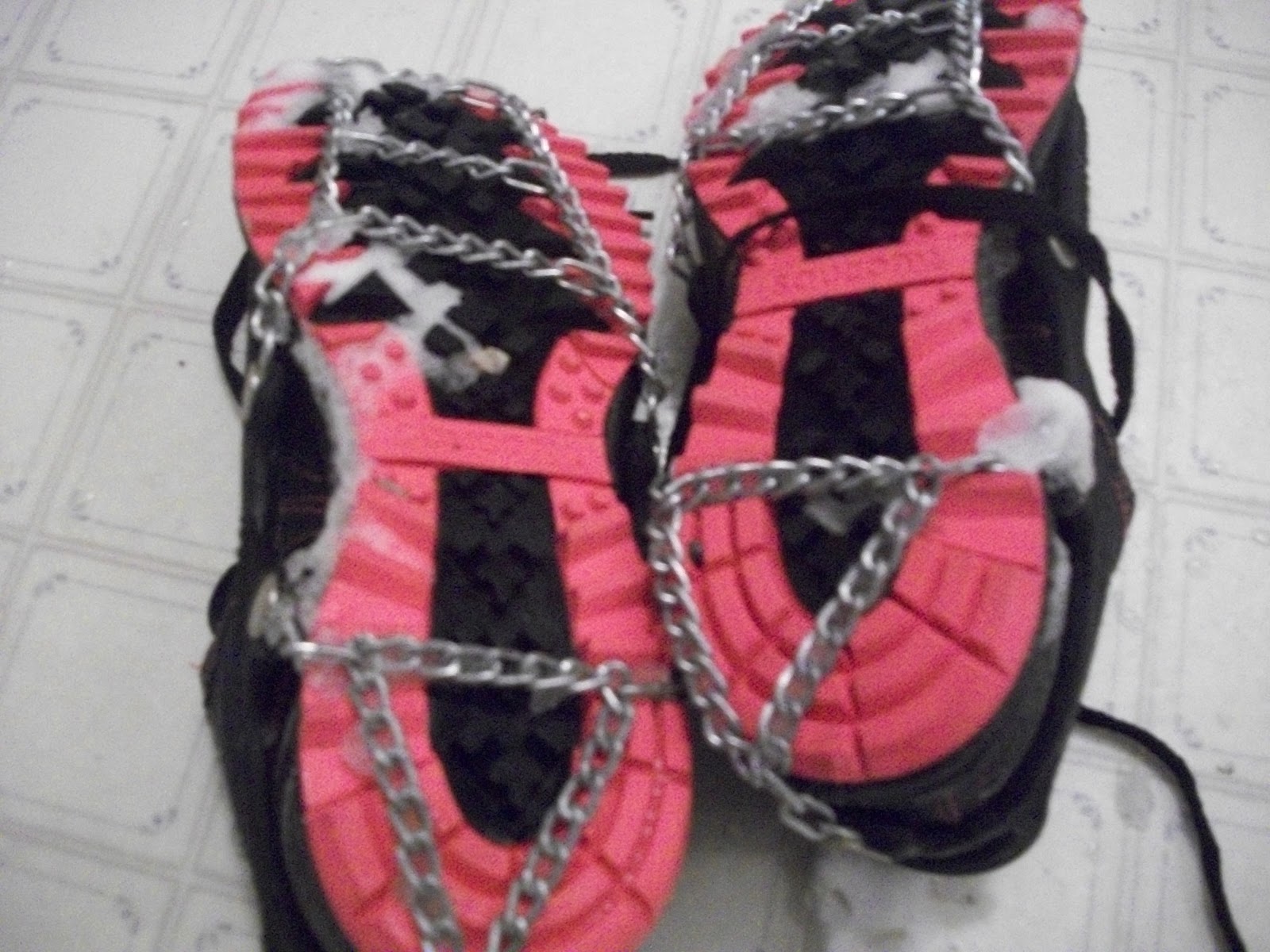 Some stuff I saw on my run today Snowy Solo Run...breaking in the new yak tracks