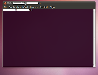 Firefox 4 Ubuntu Linux