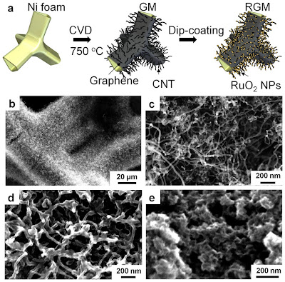 Microstructure of RGM electrode
