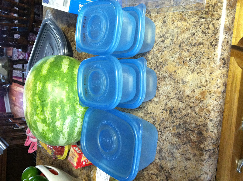 Can you "Guess"? Freezer Meals, Part 3 Put it in the Ziploc and You