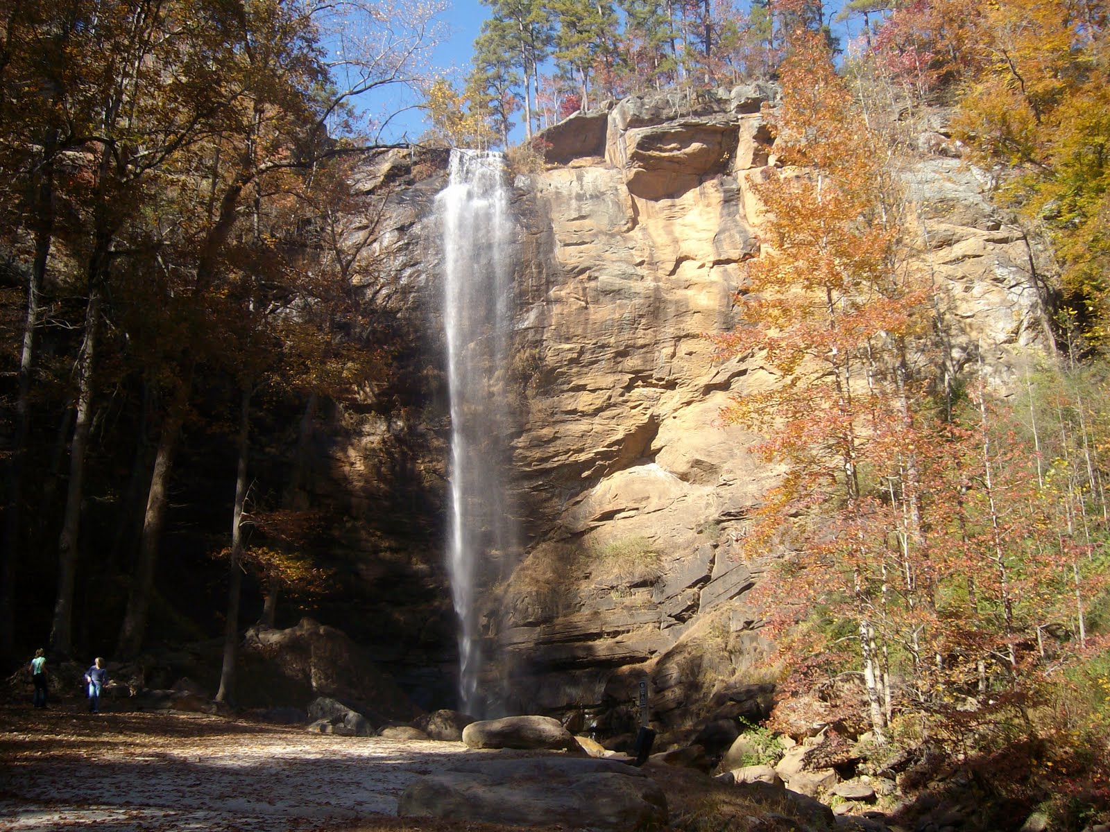 Cabin In The Woods Toccoa Falls