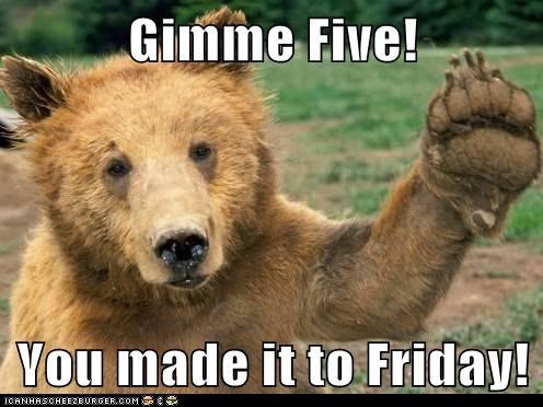 Friday Animal Attraction happy friday animal pictures Friday Animal Attraction happy friday animal pictures