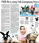 Jawa Pos, For Her. Rabu 6 April 2011