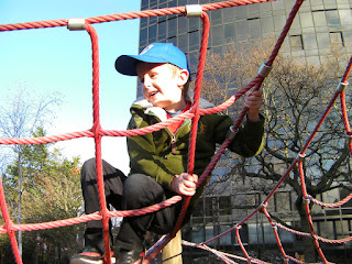 wooden playground apparatus and adventure park climbing ropes