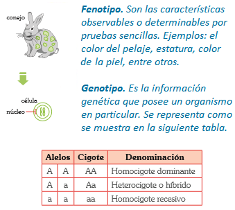 Que hacer si el padre bate a la madre por esto que bebe