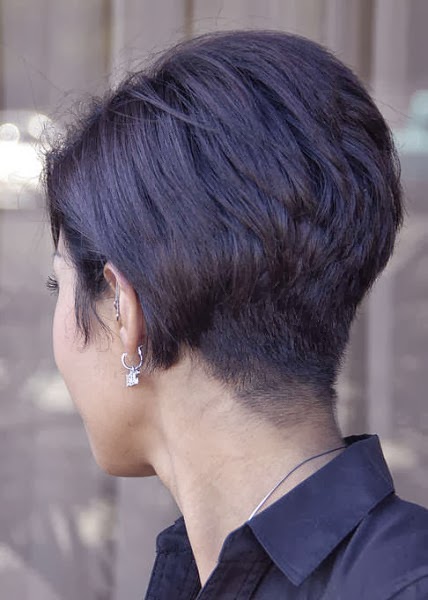 Short Hairstyles Back View Newest Short Hairstyles Back View Newest