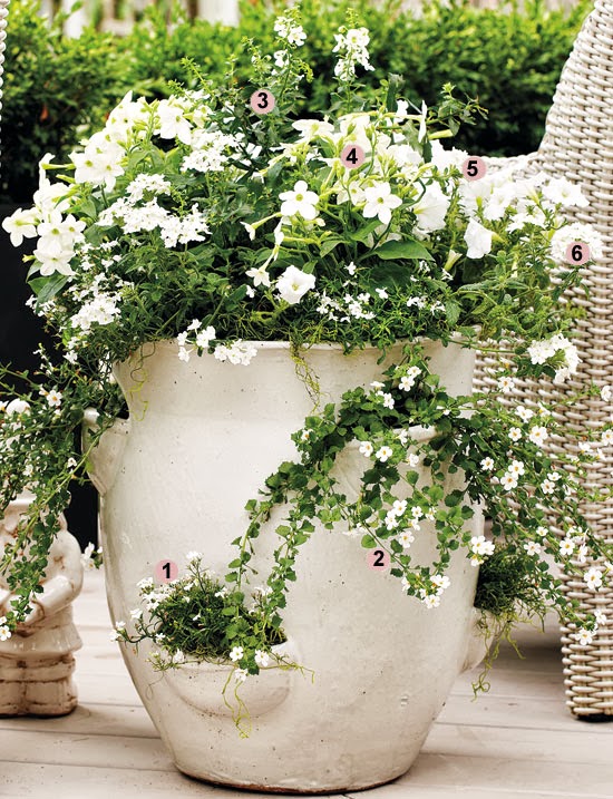 HomeFlowers Attic Bright White Container Garden