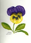 Purple and Yellow Pansy