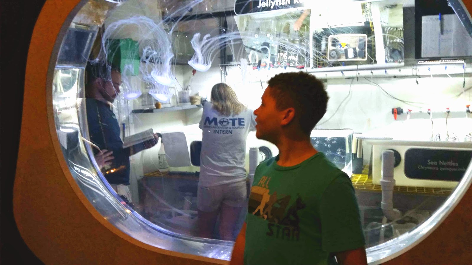Siesta Key 2015 Vacation --Part Two:  MOTE Marine Laboratory & Aquarium --How Did I Get Here? My Amazing Genealogy Journey