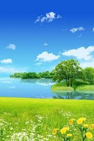 wallpapers mobile 3d nature desktop backgrounds flowers
