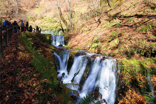 軽井沢 白糸の滝