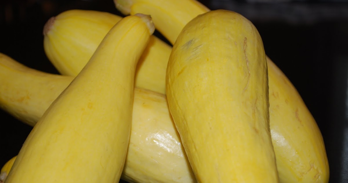 Madison Ave Musings Meatless Monday + Passover Plates Squash Casserole