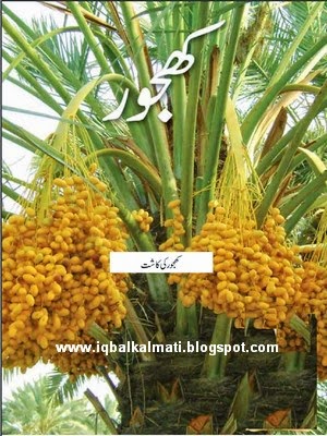 Kajoor Ki Kasht (Cultivation of Dates)