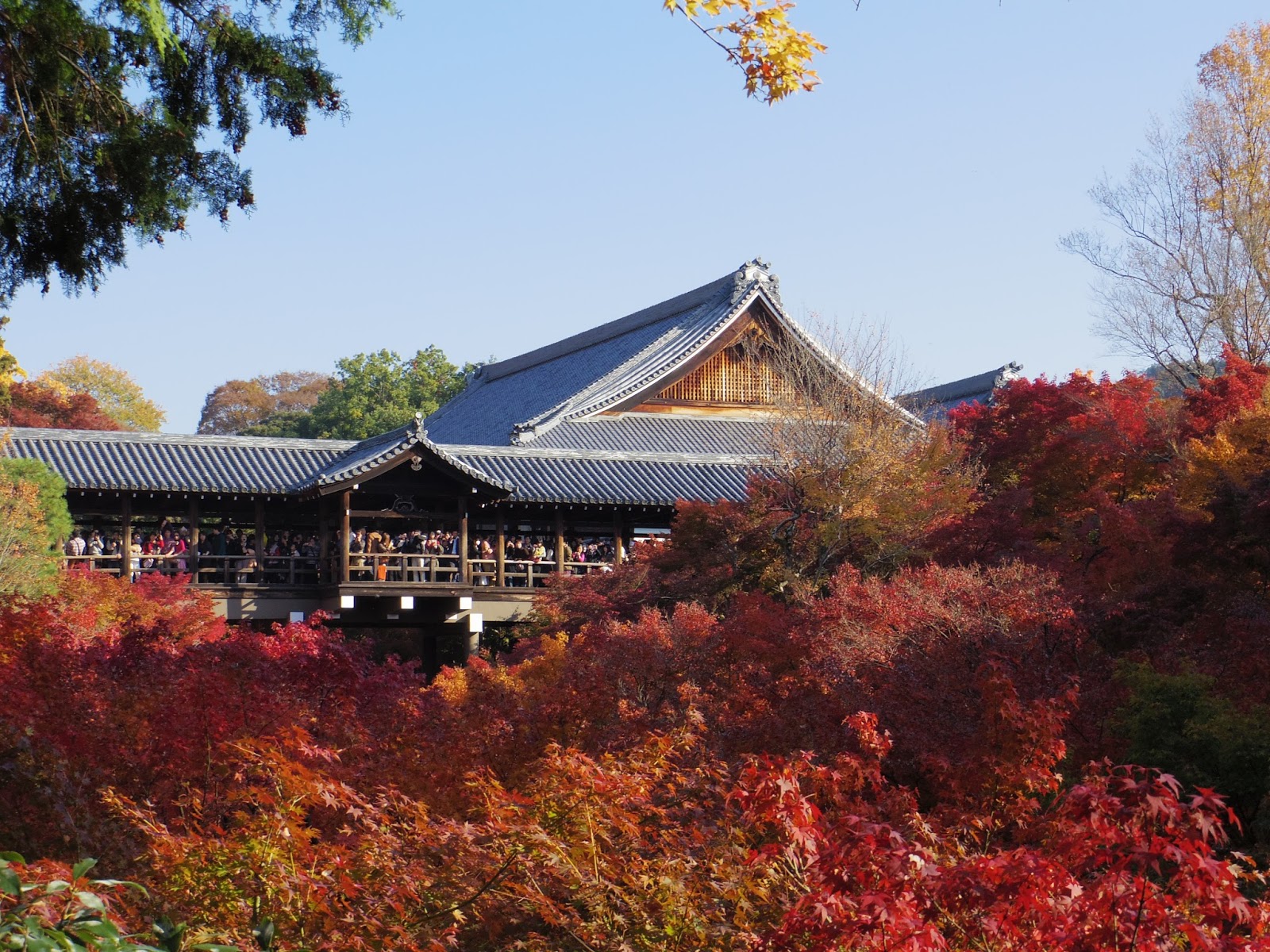 柒壹零 14京都賞楓之東福寺