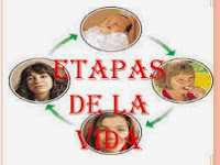 http://cplosangeles.juntaextremadura.net/web/edilim/tercer_ciclo/cmedio/las_funciones_vitales/la_funcion_de_reproduccion/las_etapas_de_la_vida/las_etapas_de_la_vida.html
