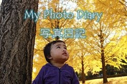 写真日記　Photo diary