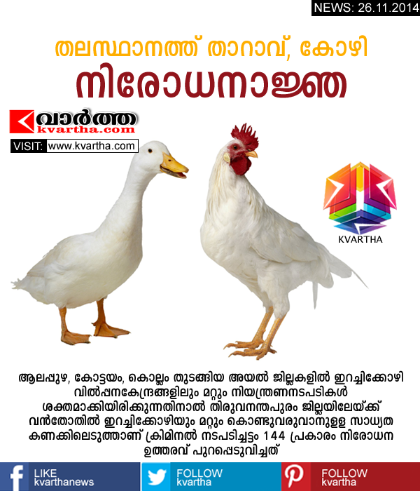 Kerala, Ban, Chicken, Duck, Fever, Thiruvananthapuram