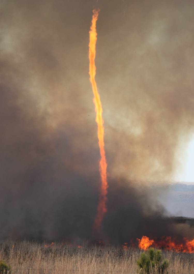 Fire Tornado Pictures