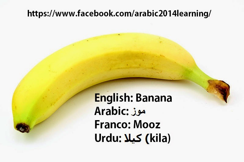 Learning Arabic Together Fruit