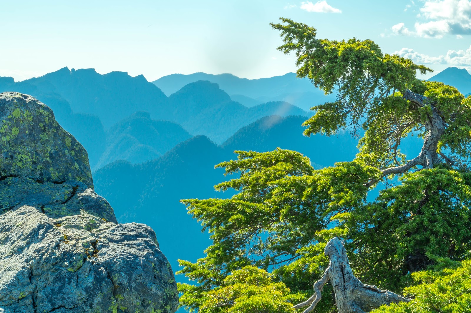 Горы на севере благодаря дымке окрашены в ярко синий цвет. На их фоне сочная зелень молодых альпийских елей выглядит ослепительно.